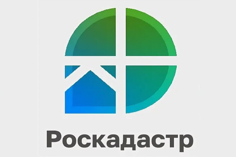 Региональный Роскадастр подвел итоги первого года работы.