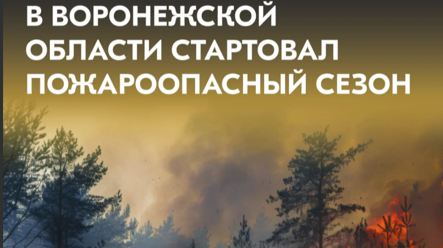 Пожароопасный сезон начался в Воронежской области..